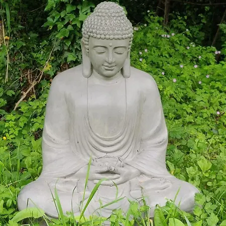 Maison Shizen Ryokan Lisle